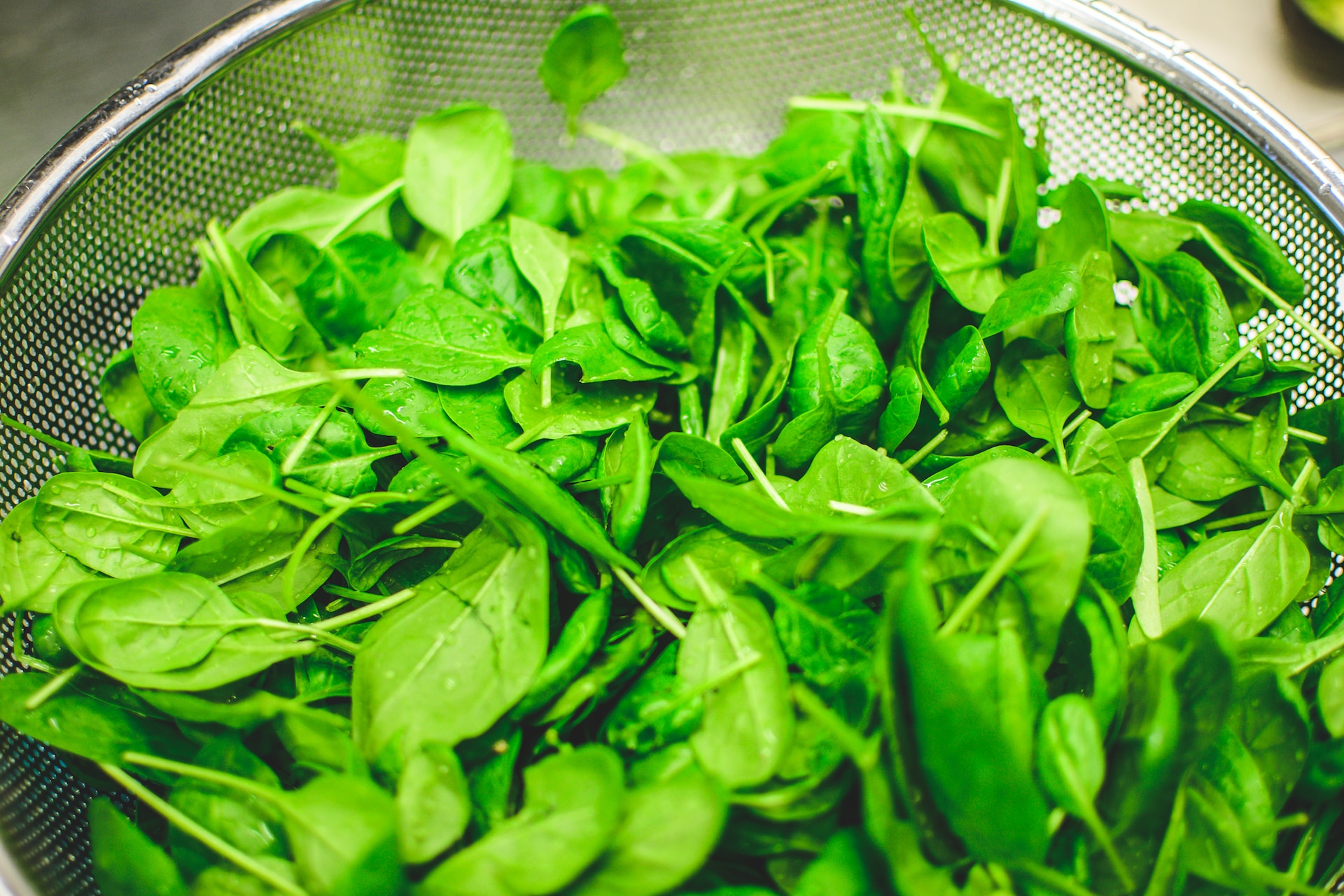 hydroponics spinach